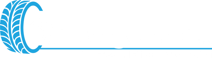 Intergomma S.p.A.